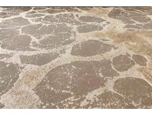 廢水處理中常用的氧化劑和還原劑有哪些？