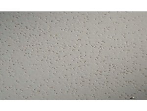 漆膜針孔解決方案